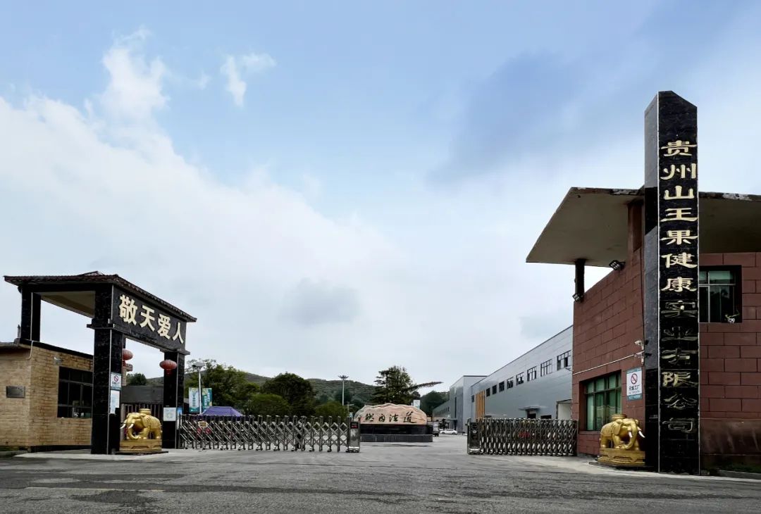 山王果 山王果