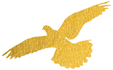 圖片關(guān)鍵詞 圖片關(guān)鍵詞